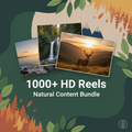 1000+ Nature HD Reels Bundle